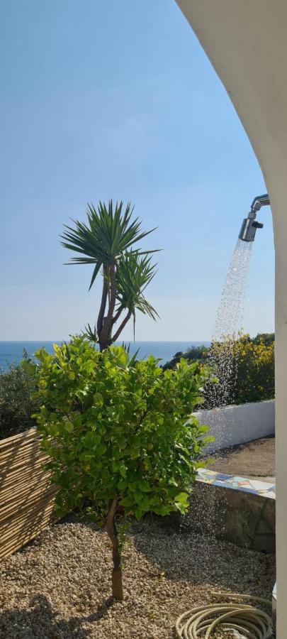 Casa Colomba Sant'Angelo Apartment Sant'Angelo  ภายนอก รูปภาพ
