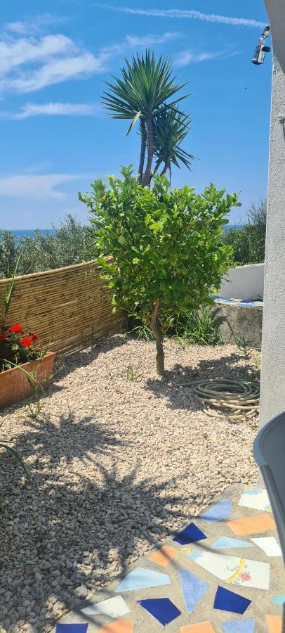 Casa Colomba Sant'Angelo Apartment Sant'Angelo  ภายนอก รูปภาพ