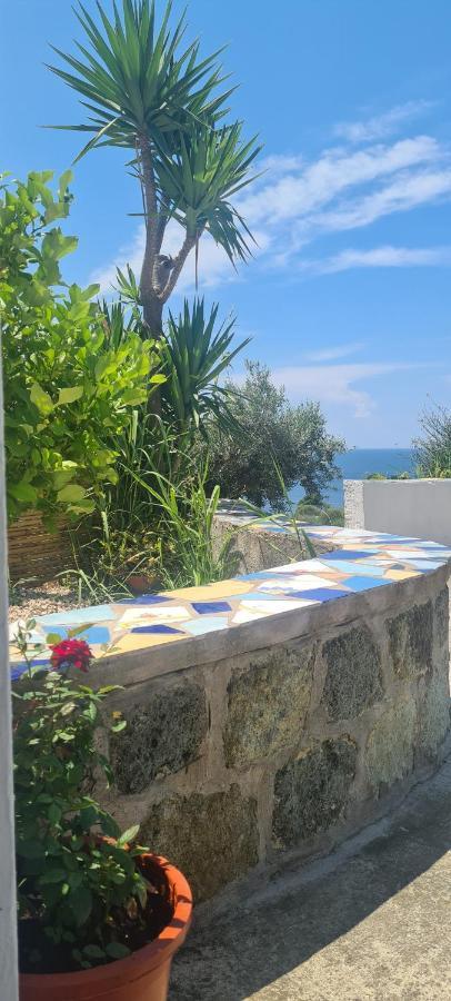 Casa Colomba Sant'Angelo Apartment Sant'Angelo  ภายนอก รูปภาพ