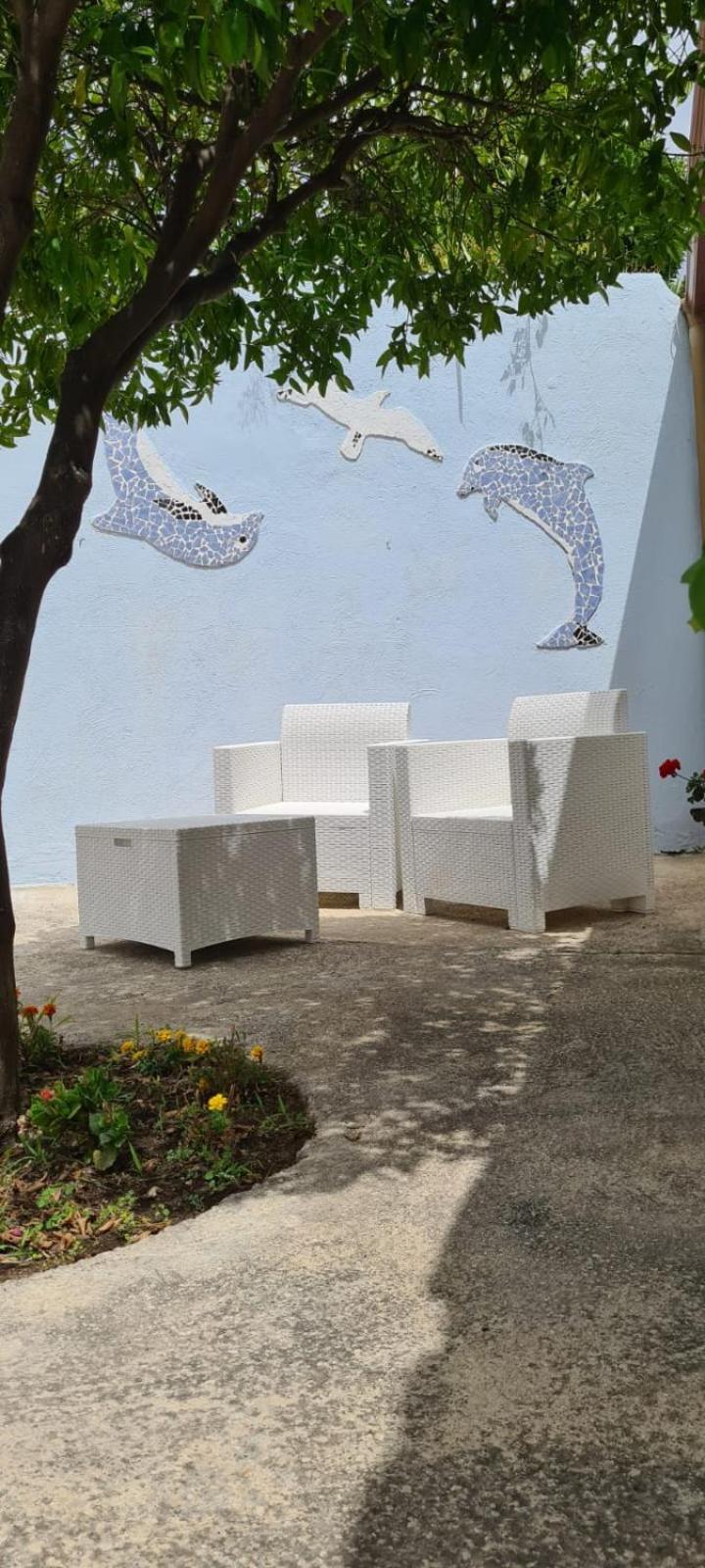 Casa Colomba Sant'Angelo Apartment Sant'Angelo  ภายนอก รูปภาพ
